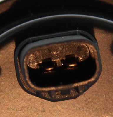Czujnik ABS TRISCAN 8180 13201