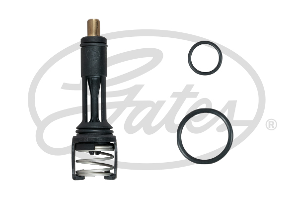 Termostat GATES TH606113G1