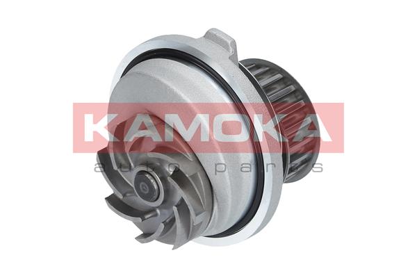 Pompa wody KAMOKA T0107