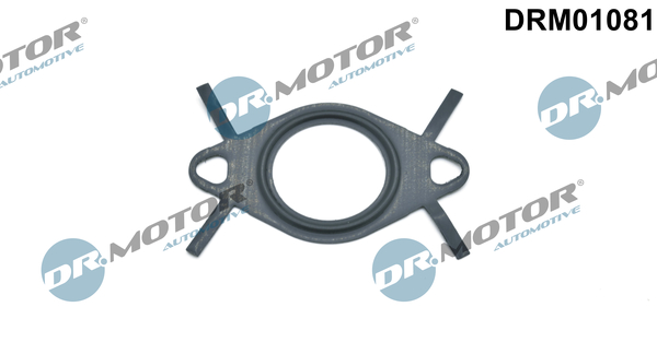 Pierścień uszczelniający przewodu zaworu AGR DR.MOTOR AUTOMOTIVE DRM01081