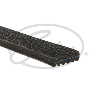 Pasek klinowy wielorowkowy GATES 6DPK1698