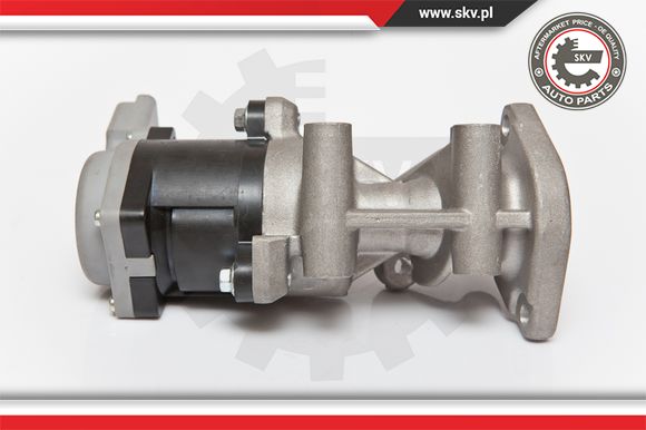 Zawór EGR ESEN SKV 14SKV066