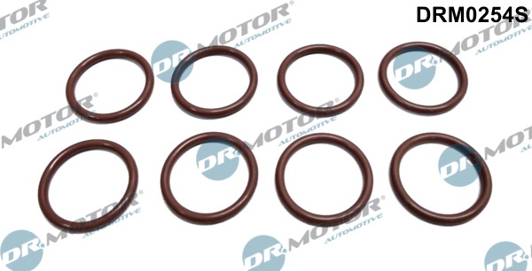 Zestaw pierścieni uszczelniających wtryskiwacz DR.MOTOR AUTOMOTIVE DRM0254S