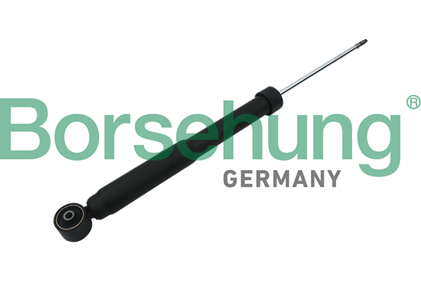 Amortyzator BORSEHUNG B17895