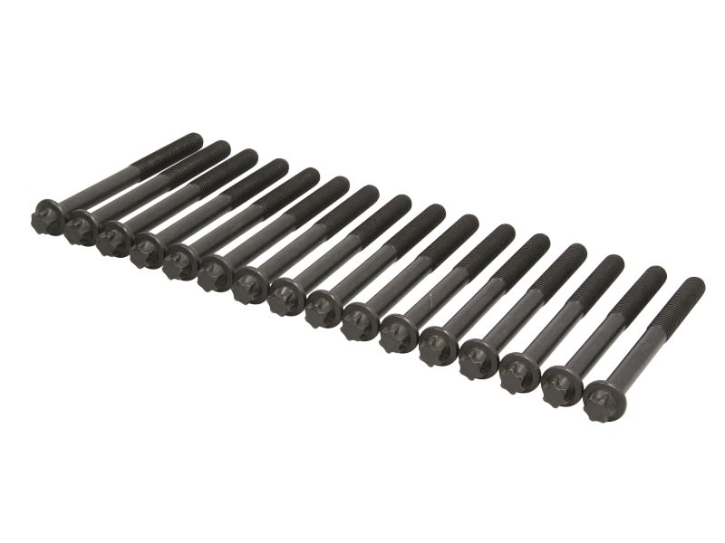 Zestaw śrub głowicy cylindrów VICTOR REINZ 14-32238-02