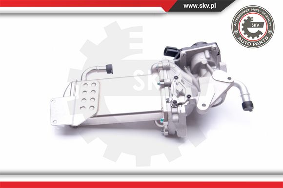 Zawór EGR ESEN SKV 14SKV154