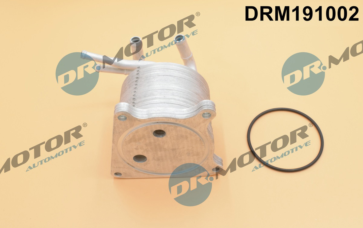 Chłodnica oleju silnikowego DR.MOTOR AUTOMOTIVE DRM191002