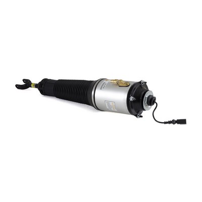 Amortyzator pneumatyczny ARNOTT AS-2560