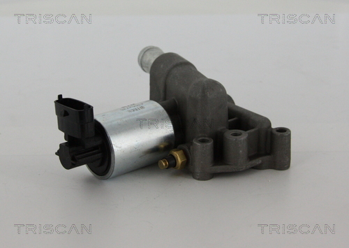 Zawór EGR TRISCAN 8813 24102