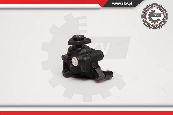 Pompa wspomagania ESEN SKV 10SKV056