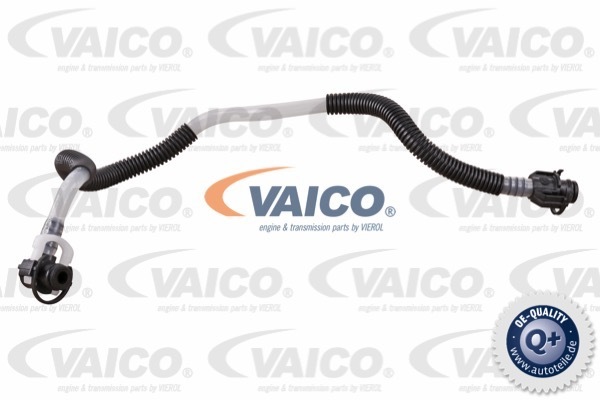 Przewód paliwowy VAICO V30-3055
