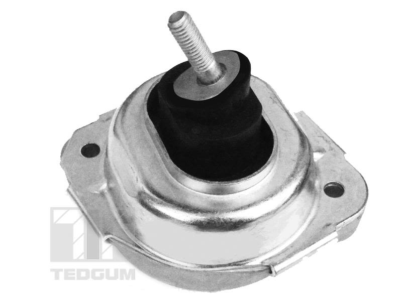 Poduszka silnika TEDGUM 00088531