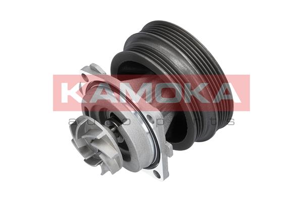 Pompa wody KAMOKA T0112