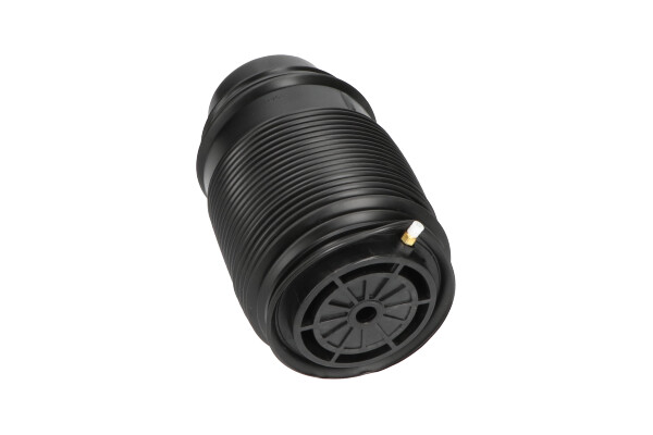 Poduszka powietrzna, zawieszenie KAVO PARTS SAS-10019