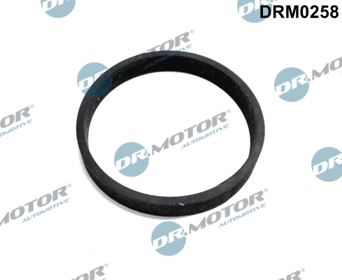 DR.MOTOR AUTOMOTIVE DRM0258