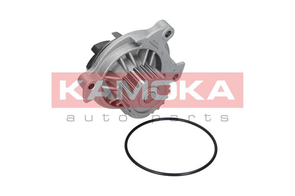 Pompa wody KAMOKA T0042