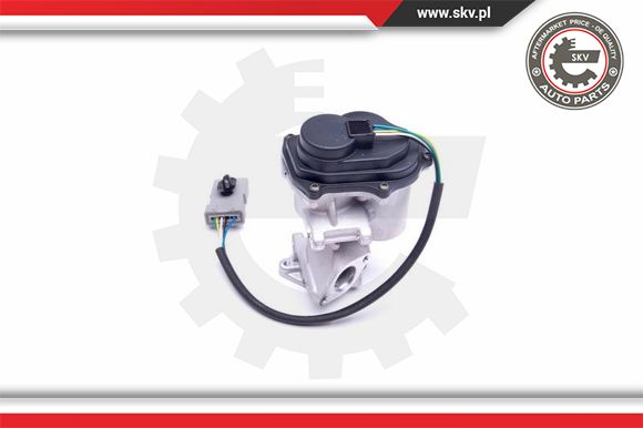 Zawór EGR ESEN SKV 14SKV216