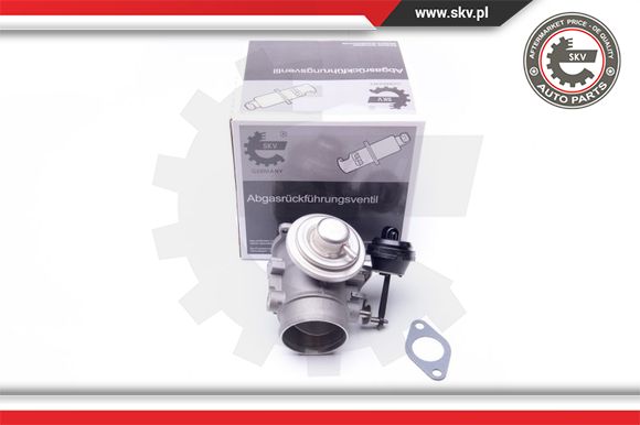 Zawór EGR ESEN SKV 14SKV106