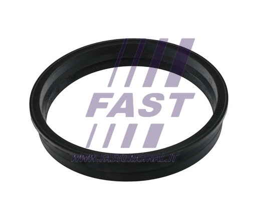 Uszczelka kosza pompy paliwa FAST FT48505