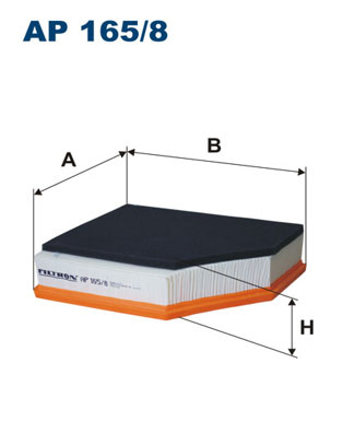 Filtr powietrza FILTRON AP165/8