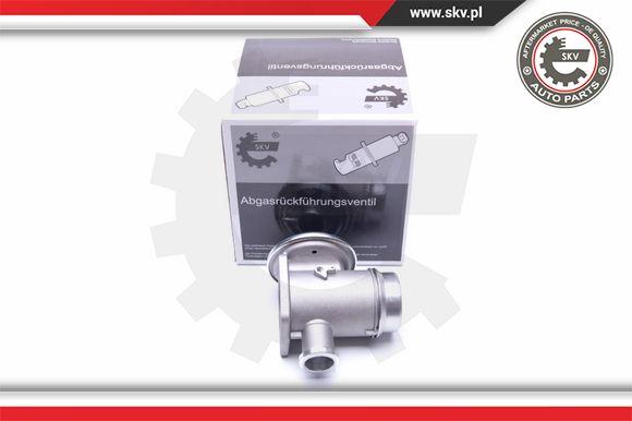 Zawór EGR ESEN SKV 14SKV176