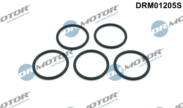 Zestaw uszczelek, pompa wodna DR.MOTOR AUTOMOTIVE DRM01205S