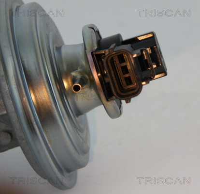 Zawór EGR TRISCAN 8813 16045