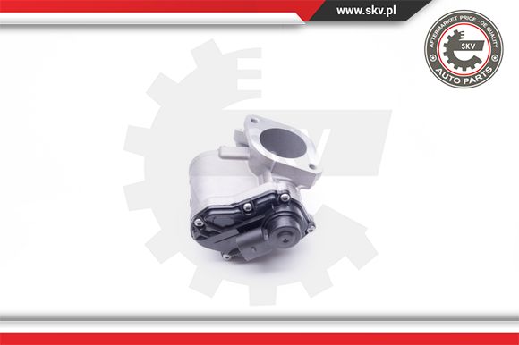 Zawór EGR ESEN SKV 14SKV168