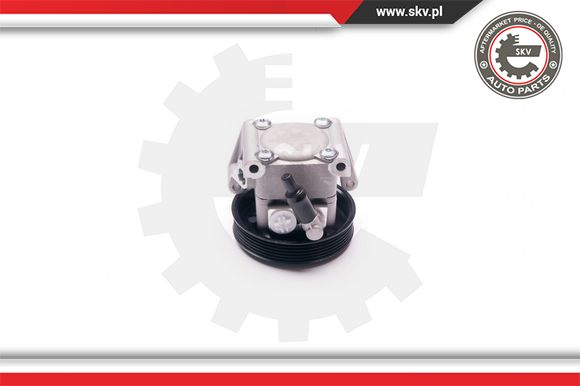 Pompa wspomagania ESEN SKV 10SKV219