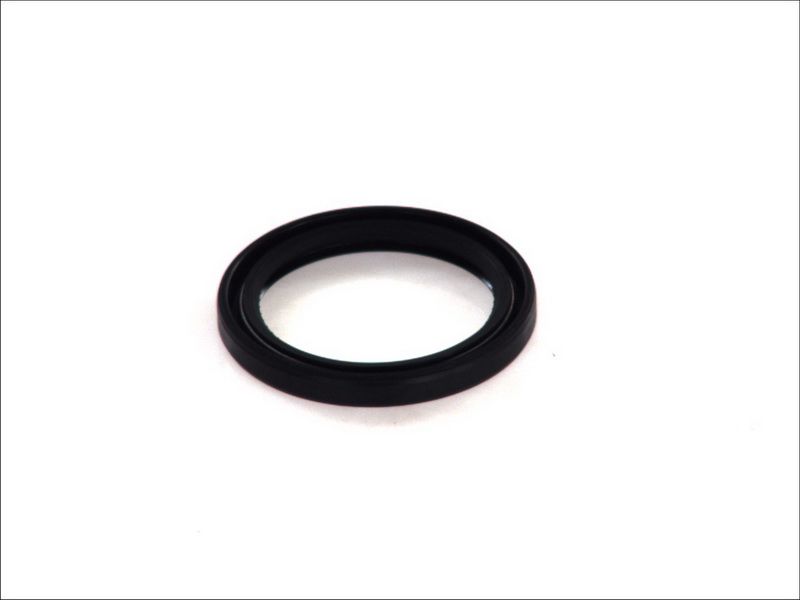 Uszczelniacz wału korbowego PAYEN NJ449