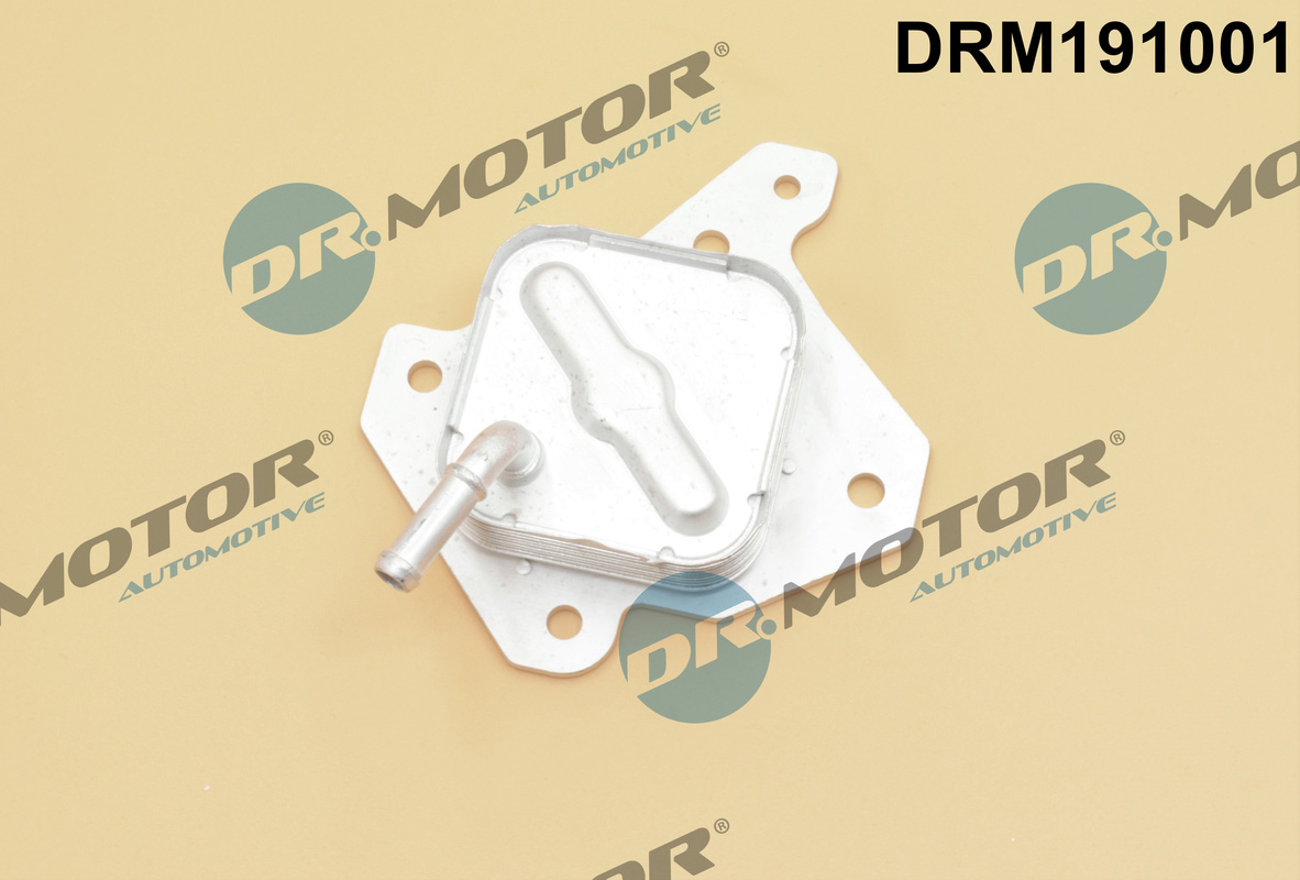 Chłodnica oleju silnikowego DR.MOTOR AUTOMOTIVE DRM191001