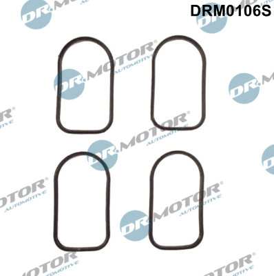 Zestaw uszczelek kolektora ssącego DR.MOTOR AUTOMOTIVE DRM0106S