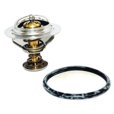 Termostat MEAT & DORIA 92531