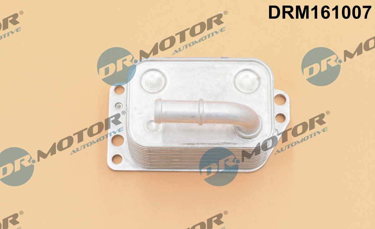 Chłodnica oleju silnikowego DR.MOTOR AUTOMOTIVE DRM161007