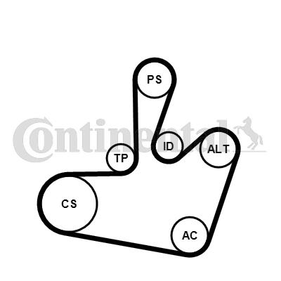 Zestaw paska osprzętu CONTINENTAL CTAM 6PK1548K1