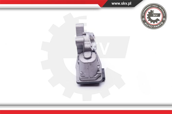 Zawór EGR ESEN SKV 14SKV103