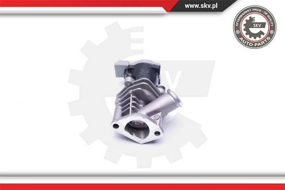 Zawór EGR ESEN SKV 14SKV173