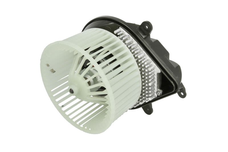 Silnik elektryczny dmuchawy THERMOTEC DDP007TT