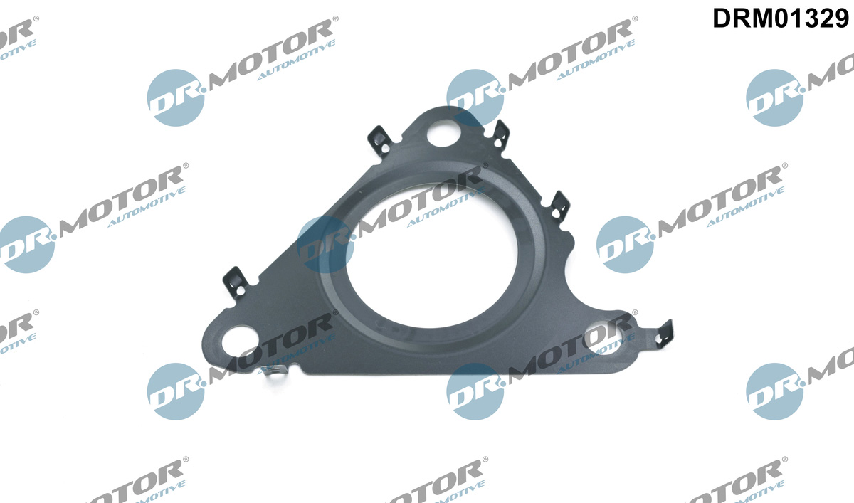 Uszczelnienie zaworu AGR DR.MOTOR AUTOMOTIVE DRM01329