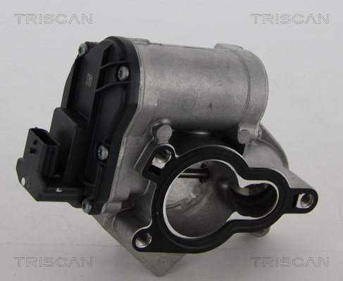 Zawór EGR TRISCAN 8813 24039