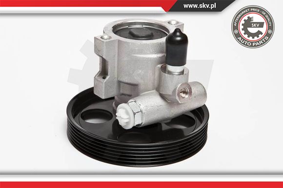 Pompa wspomagania ESEN SKV 10SKV069