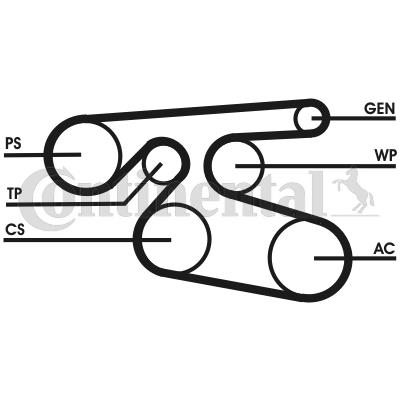 Pasek klinowy wielorowkowy CONTITECH 7PK2000