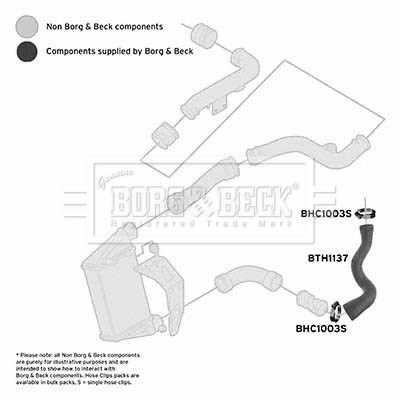 Przewód powietrza doładowującego BORG & BECK BTH1137