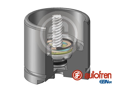 Tłoczek zacisku hamulcowego AUTOFREN SEINSA D025256RK