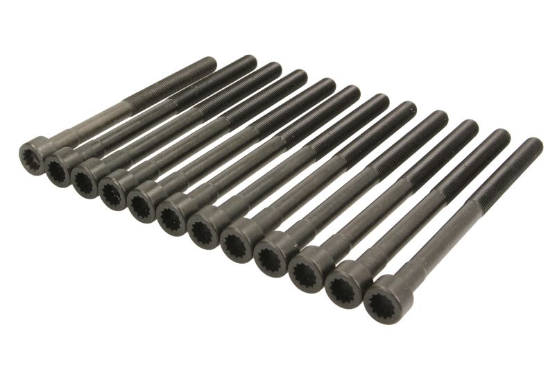 Zestaw śrub głowicy cylindrów AJUSA 81043400