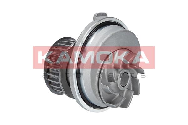 Pompa wody KAMOKA T0229