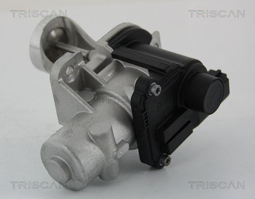 Zawór EGR TRISCAN 8813 29101
