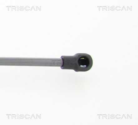 Sprężyna gazowa TRISCAN 8710 112011