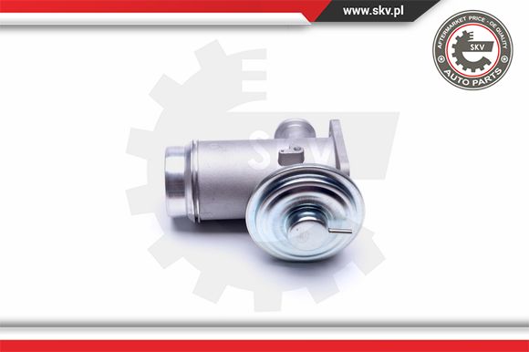 Zawór EGR ESEN SKV 14SKV175