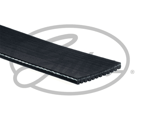 Pasek klinowy wielorowkowy GATES 12PK717